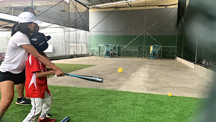 Amerindo Batting Cages