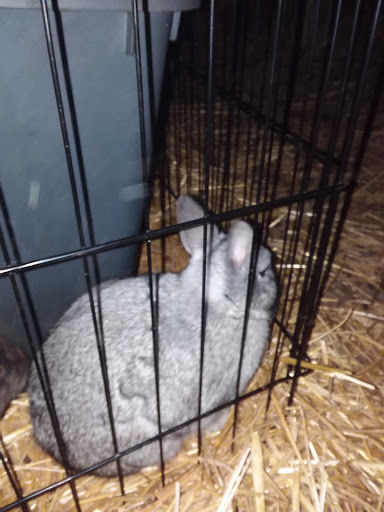 Home Improvement Store «Tractor Supply Co.», reviews and photos, 321 N 3rd St, Oxford, PA 19363, USA