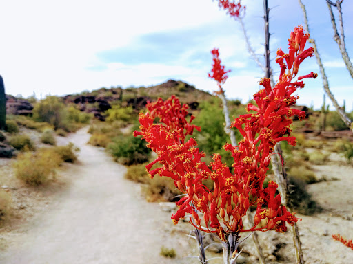 Park «South Mountain Park», reviews and photos, 10919 S Central Ave, Phoenix, AZ 85042, USA