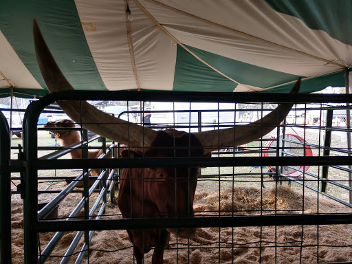 Convention Center «Highlands News-Sun Center - Fair Grounds», reviews and photos, 781 Magnolia Ave, Sebring, FL 33870, USA