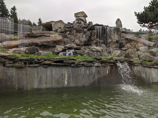 Zoo «Cougar Mountain Zoo», reviews and photos, 19525 SE 54th St, Issaquah, WA 98027, USA