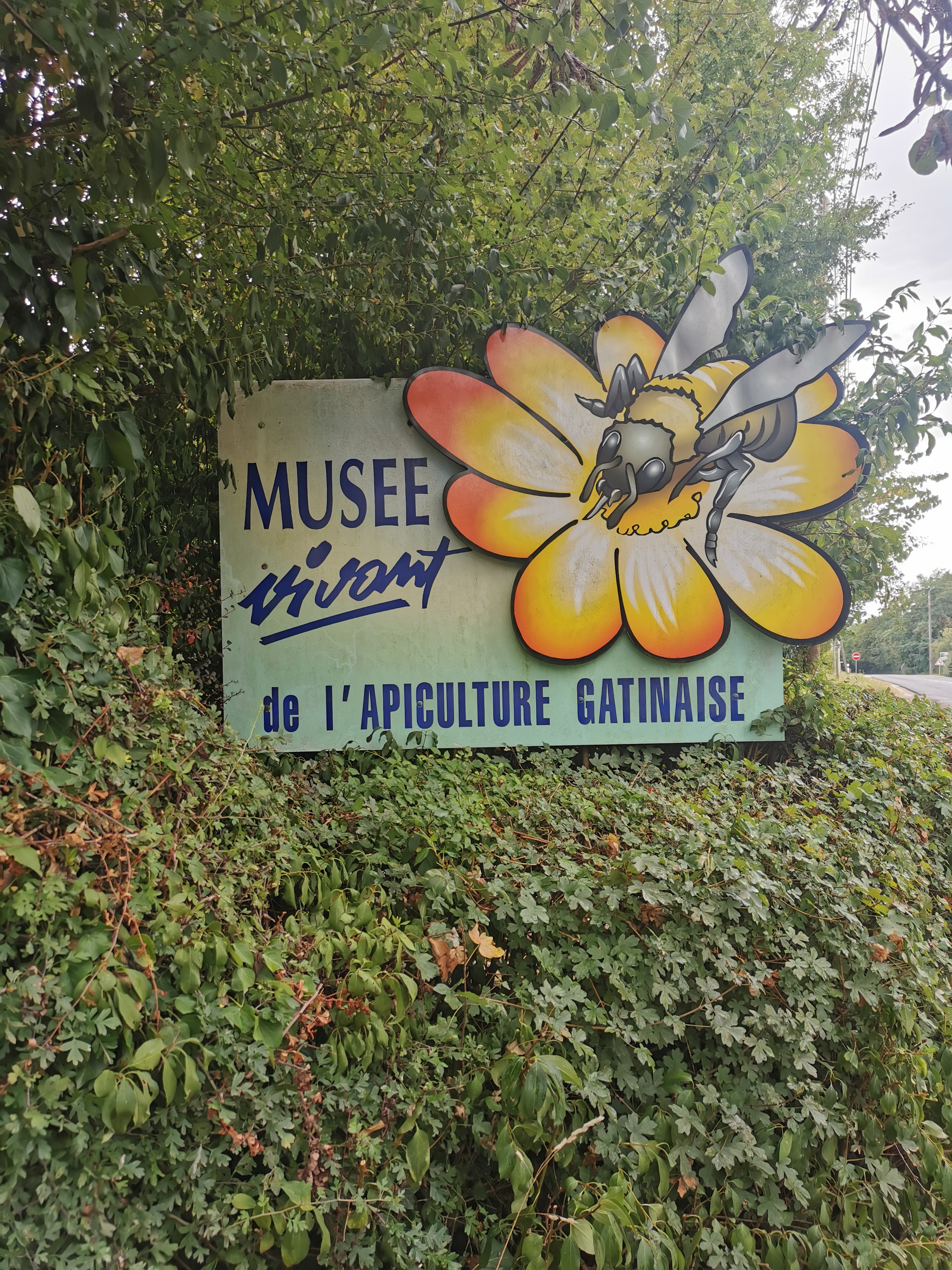 Photo n° 5 de l'avis de GHERBAL.A fait le 18/08/2022 à 16:51