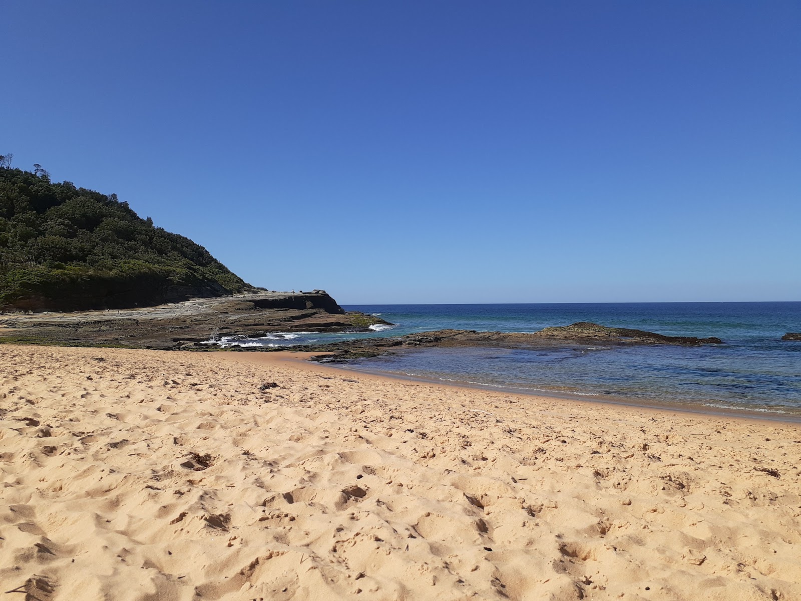 Wamberal Beach'in fotoğrafı çok temiz temizlik seviyesi ile