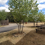 Photo n°2 de l'avis de JOFFIE.O fait le 04/09/2023 à 10:05 sur le  Ristorante Camping Miraglia à Cesarò