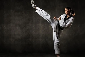 Academia De Taekwondo ''Águilas Kwan'' image