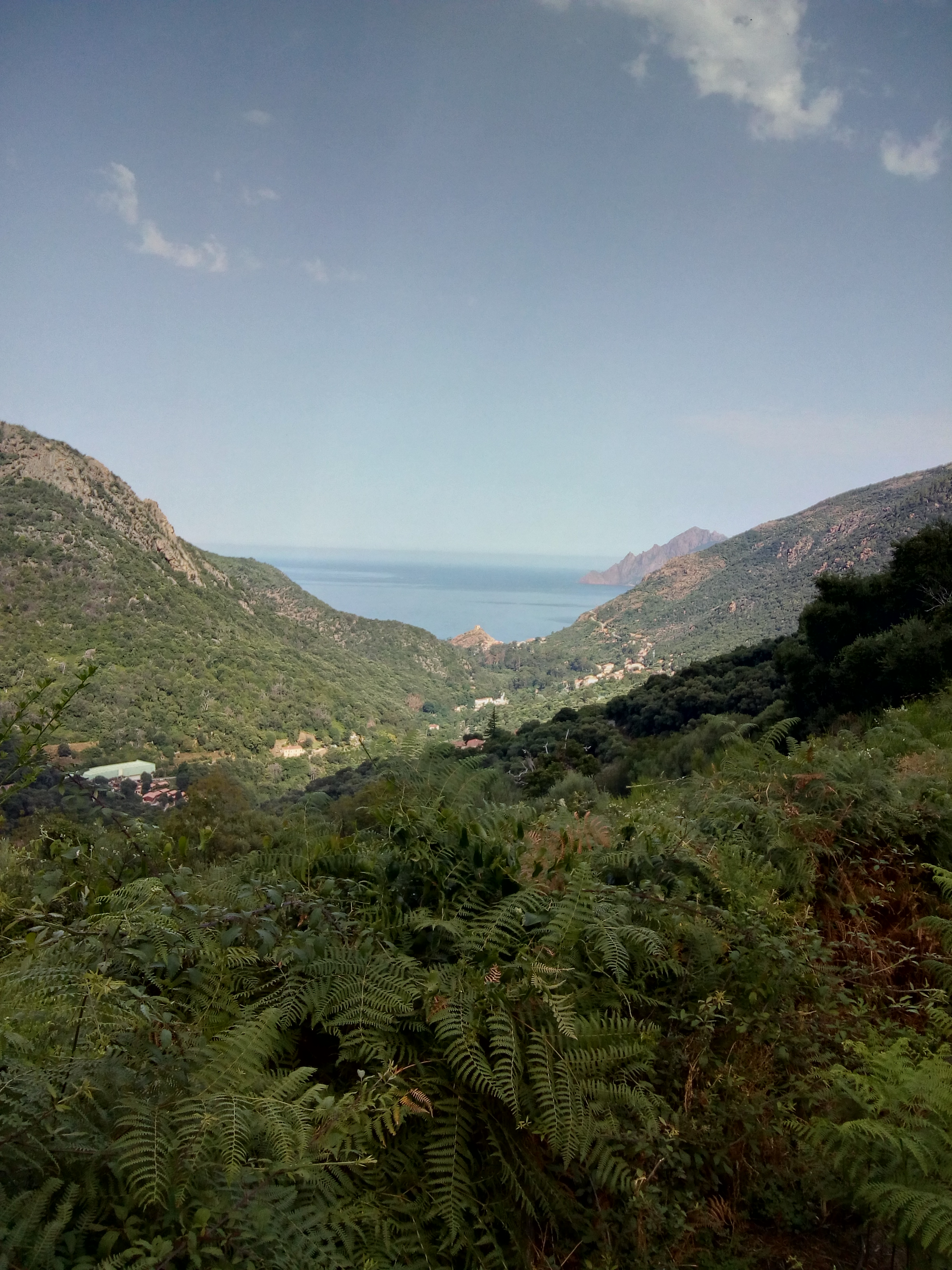 Photo n° 1 de l'avis de Jean.O fait le 21/08/2018 à 17:36
