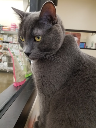 Pet Supply Store «Pet Supplies Plus», reviews and photos, 955 Co Rd E East #100, Vadnais Heights, MN 55127, USA