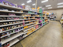 PetSmart - Photo 5 - Car repair in Tucson, AZ, Tucson