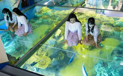 Echizen Matsushima Aquarium image