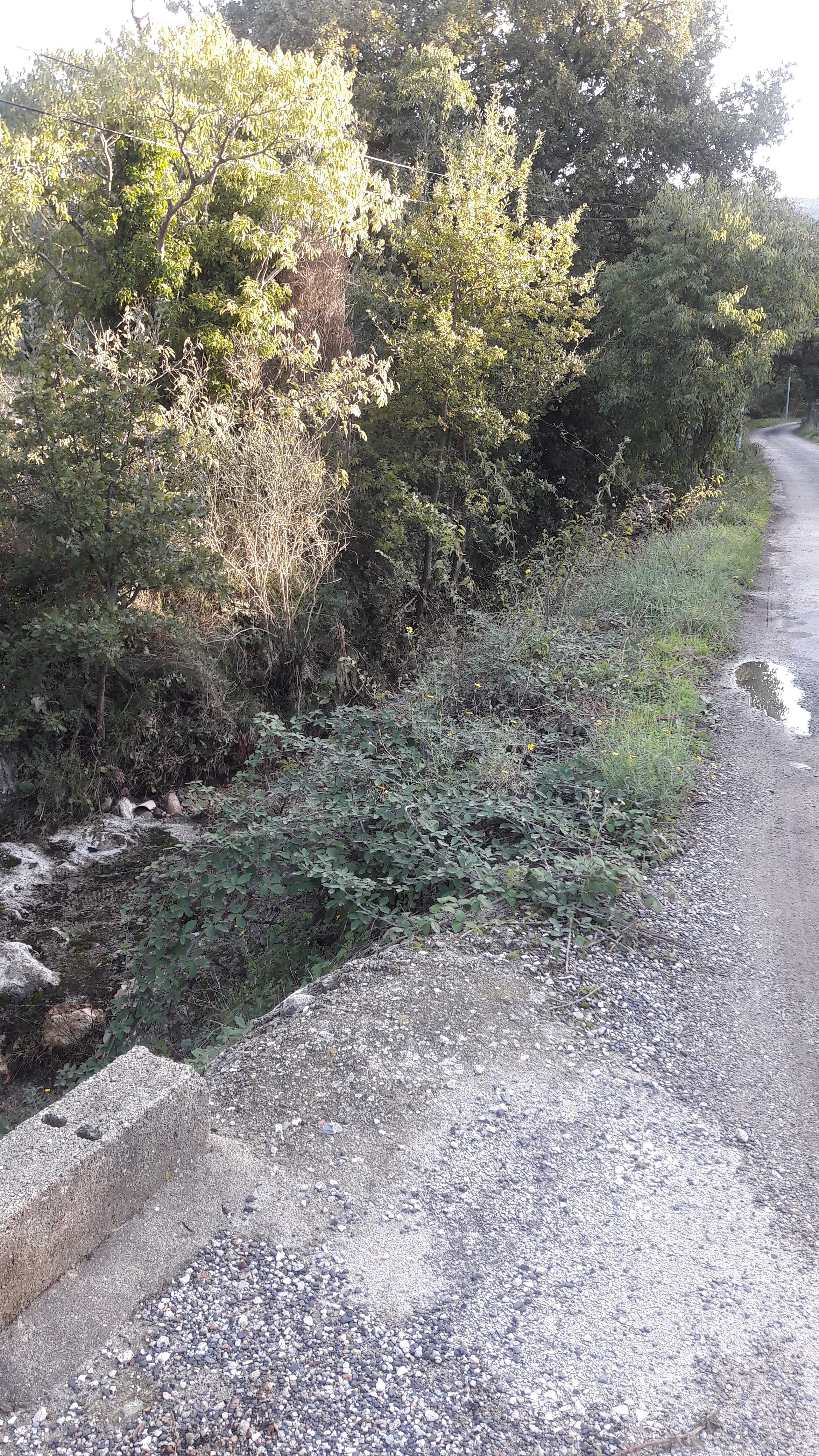 Photo n° 3 de l'avis de paloma.e fait le 24/11/2019 à 20:15