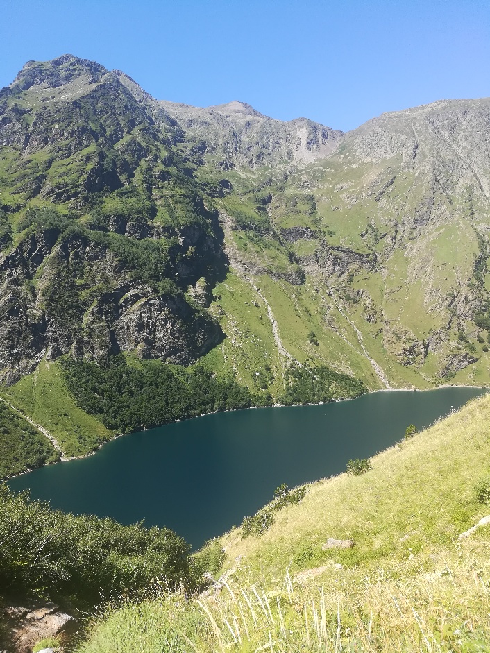 Photo n° 1 de l'avis de Xavier.F fait le 12/08/2019 à 08:56