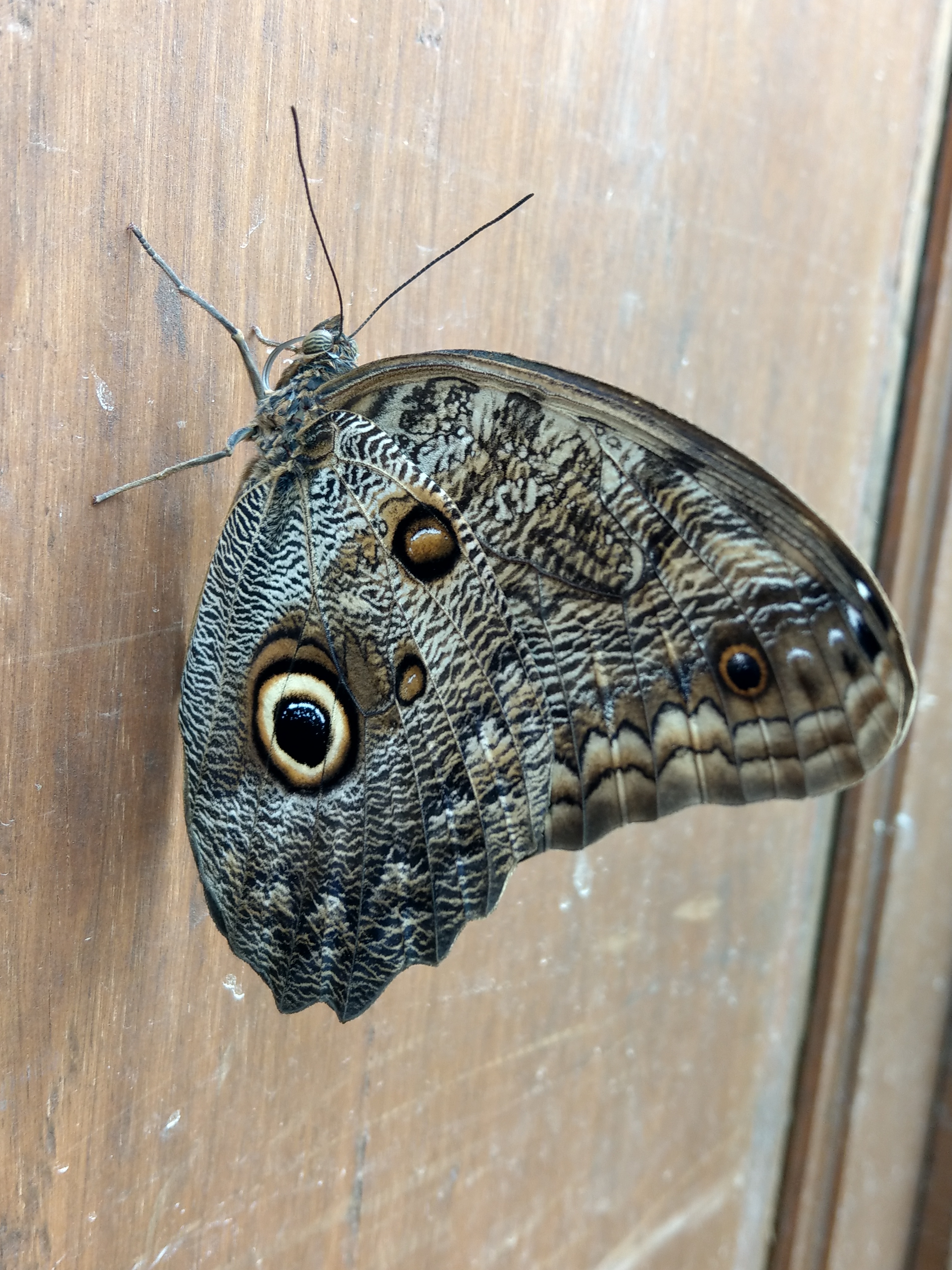 Photo n° 5 de l'avis de Sylvain-Emré.A fait le 02/07/2017 à 13:31