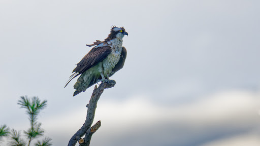 Park «Bare Cove Park», reviews and photos, Bare Cove Park Dr & Fort Hill St, Hingham, MA 02043, USA
