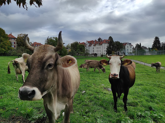 Rezensionen über Erlebnisbauernhof Ölberg in St. Gallen - Bioladen