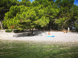 Paltana beach'in fotoğrafı küçük koy ile birlikte