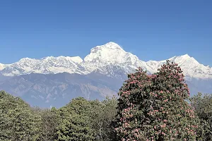 Nepal Himalayas Trekking image