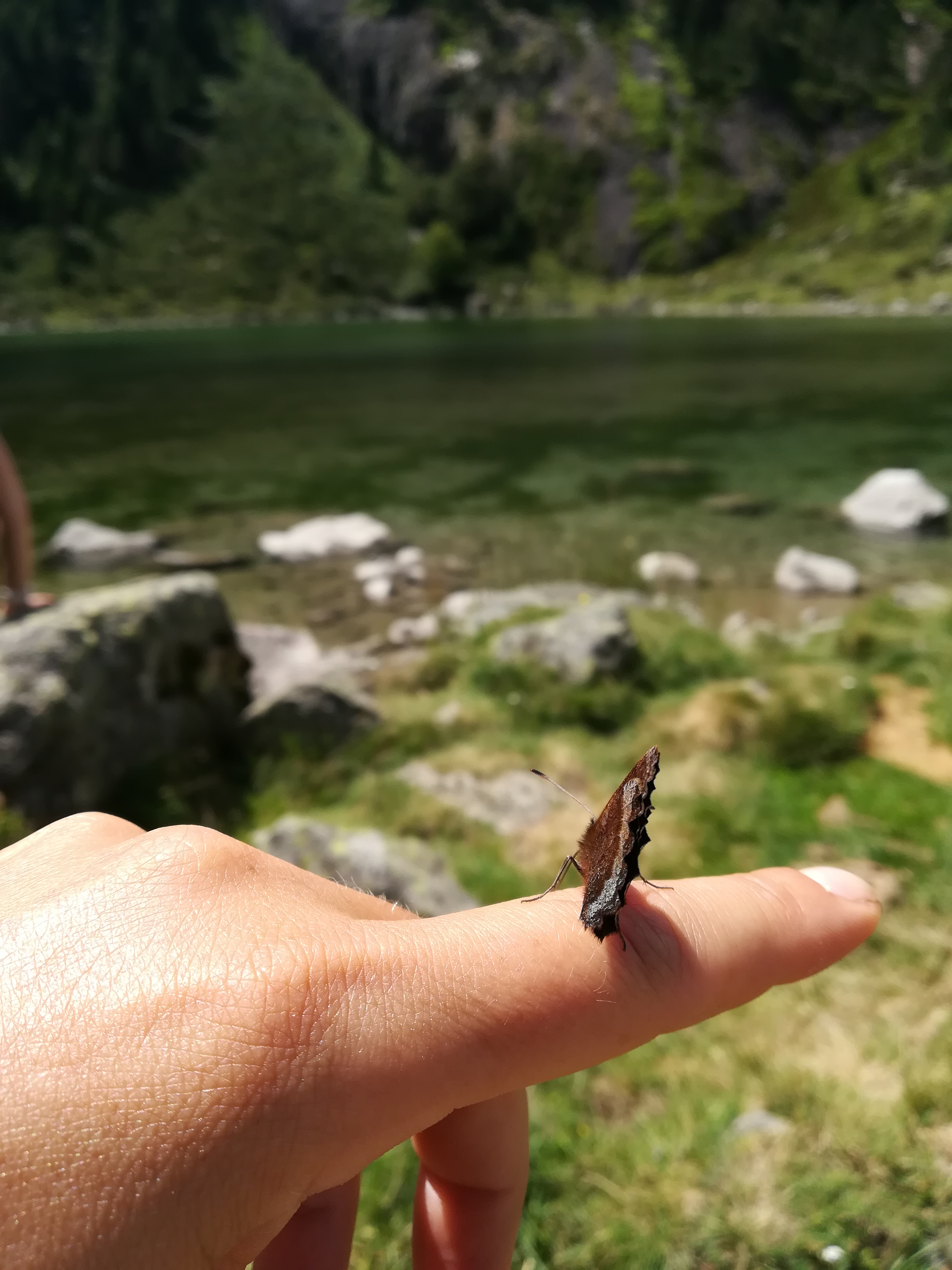 Photo n° 1 de l'avis de Maryline.A fait le 16/08/2018 à 10:57