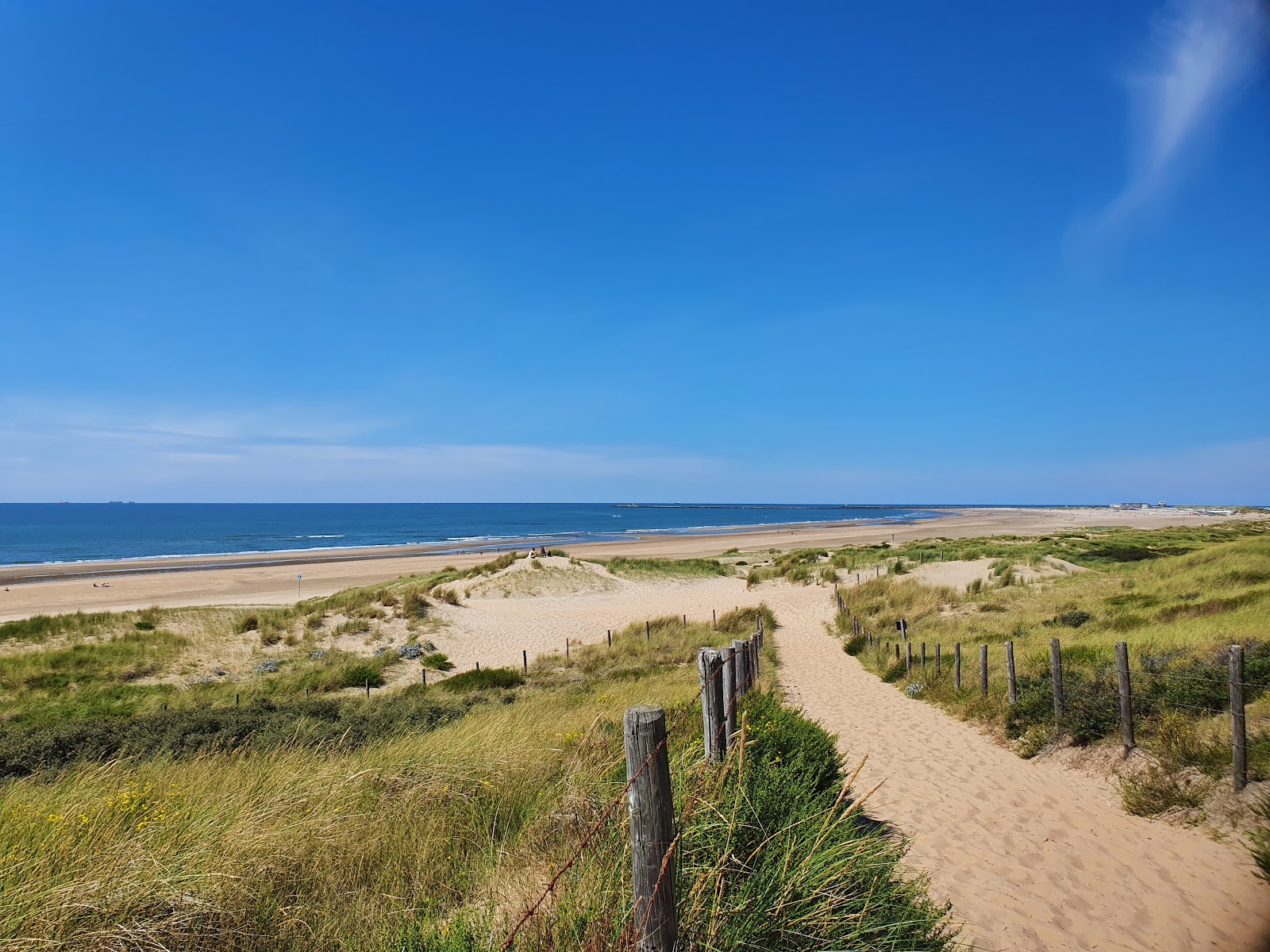 Foto di Spiaggia di IJmuiden con una superficie del sabbia luminosa