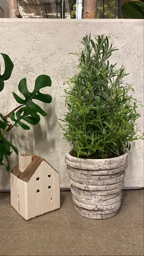 Home Goods Store «Rusted Window», reviews and photos, 99 E Carmel Dr Suite 140, Carmel, IN 46032, USA