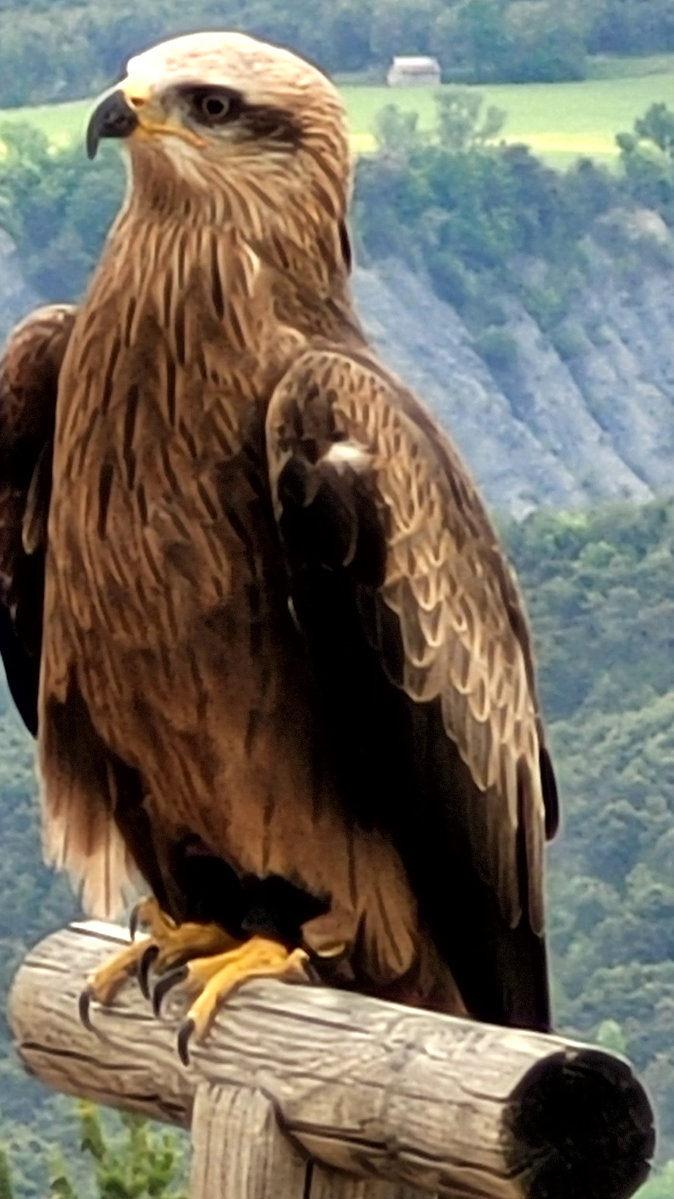 Photo n° 7 de l'avis de PASSIONS.O fait le 24/05/2023 à 09:56