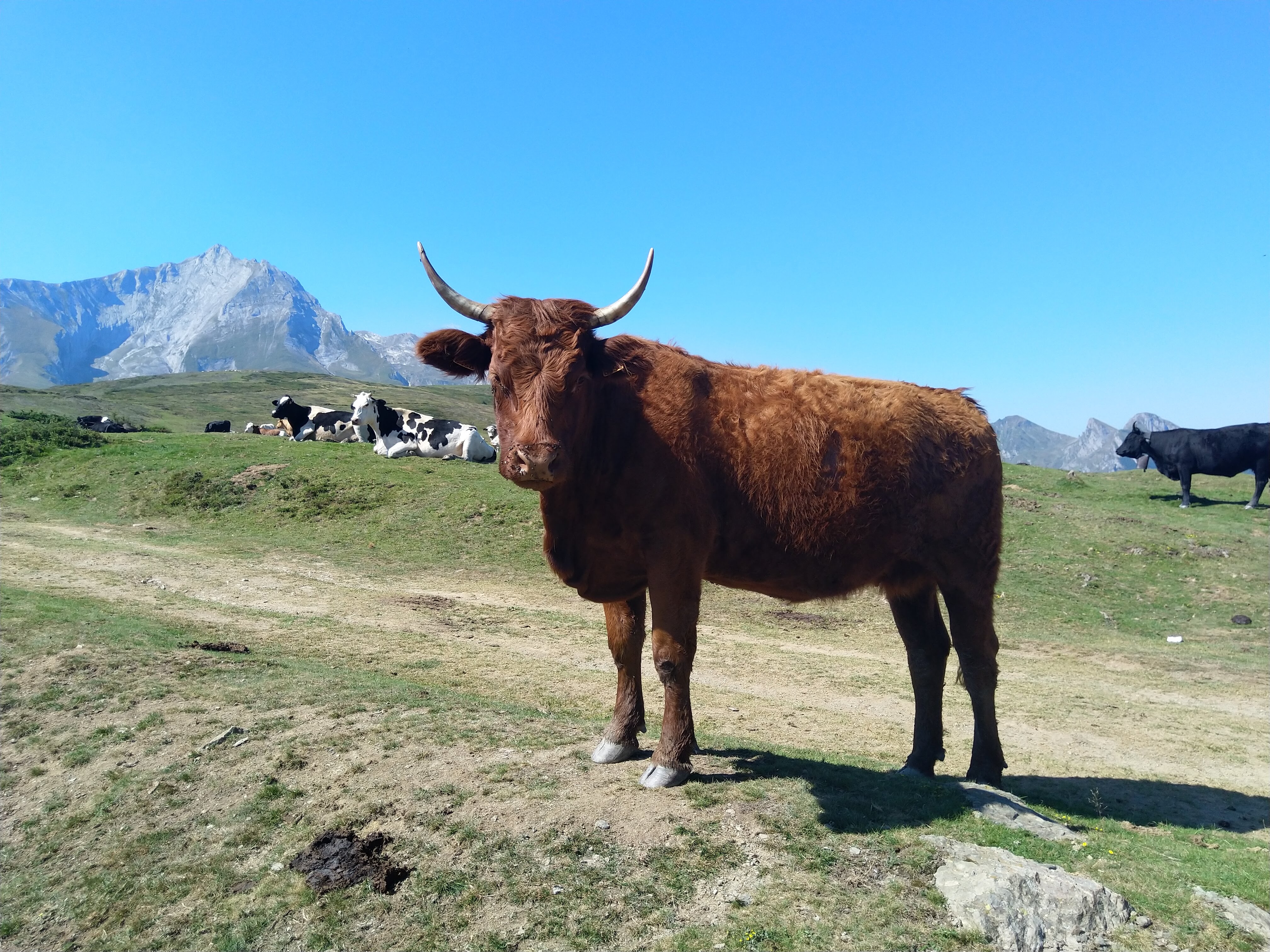 Photo n° 8 de l'avis de laurent.a fait le 28/08/2023 à 11:23