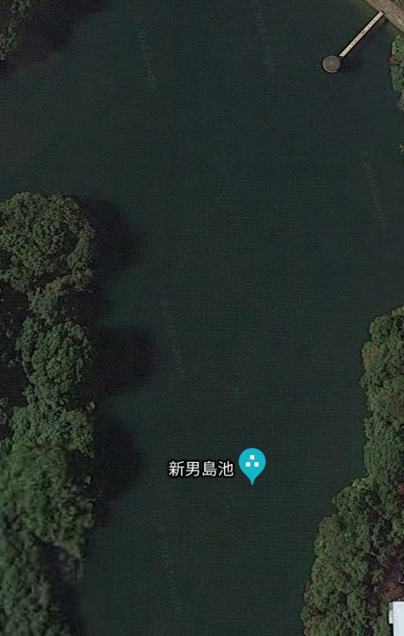 新男島池