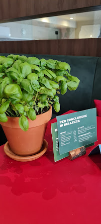 miscusi Milano Cadorna à Milan menu