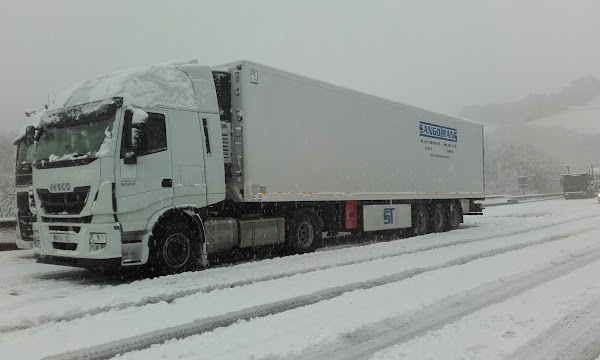 SANGOTRANS LOGISTICA, S.L.