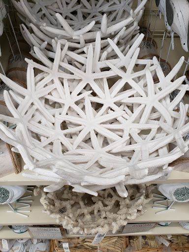 Home Goods Store «Christmas Tree Shops», reviews and photos, 1117 Woodruff Rd, Greenville, SC 29607, USA