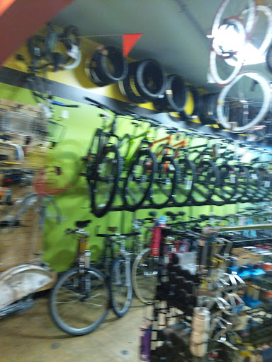 Bicycle Store «Europa Bicycle Center», reviews and photos, 14764 Ventura Blvd, Sherman Oaks, CA 91403, USA