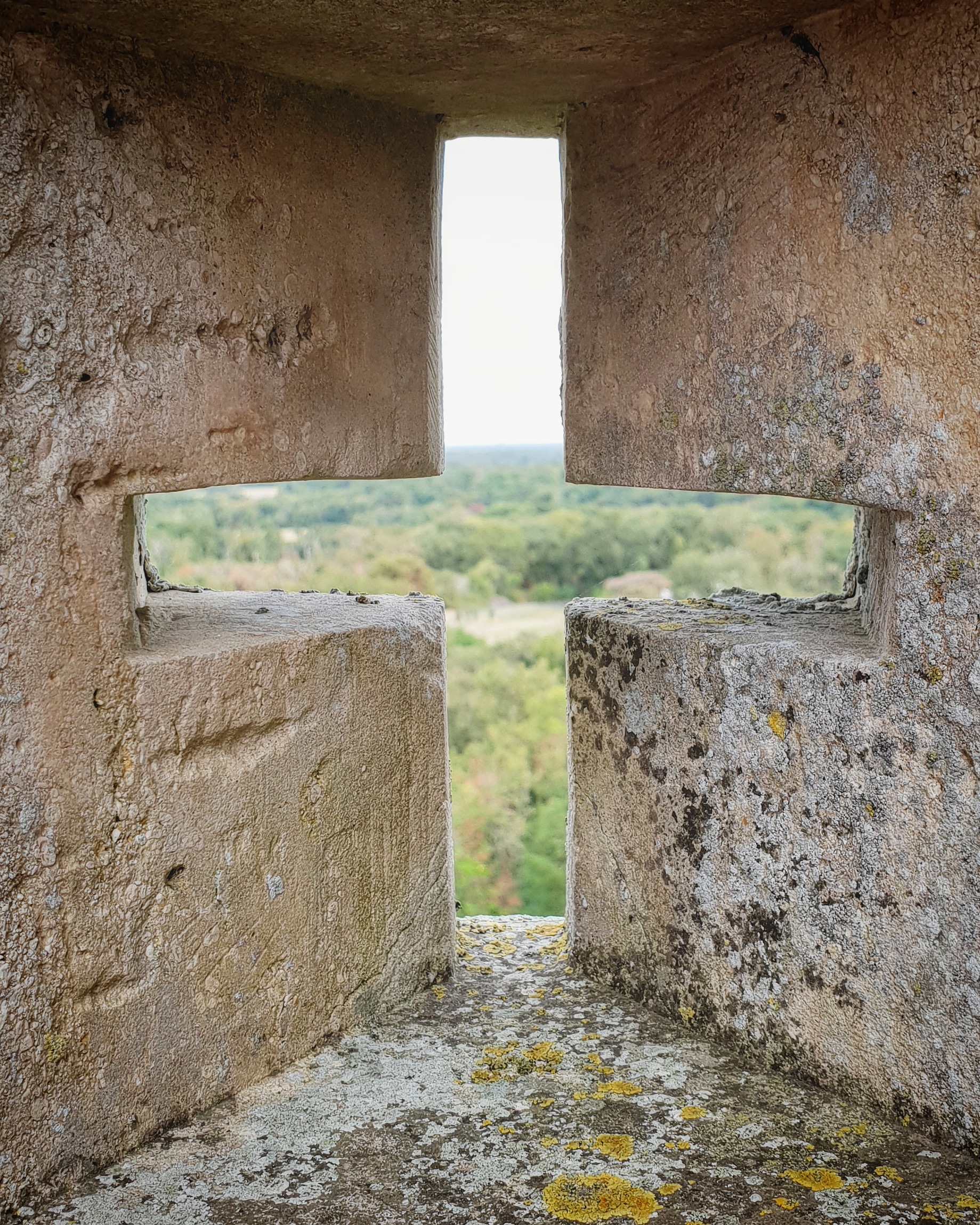 Photo n° 21 de l'avis de O. fait le 18/08/2018 à 19:03