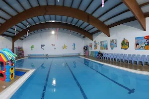 Launceston Swim School image