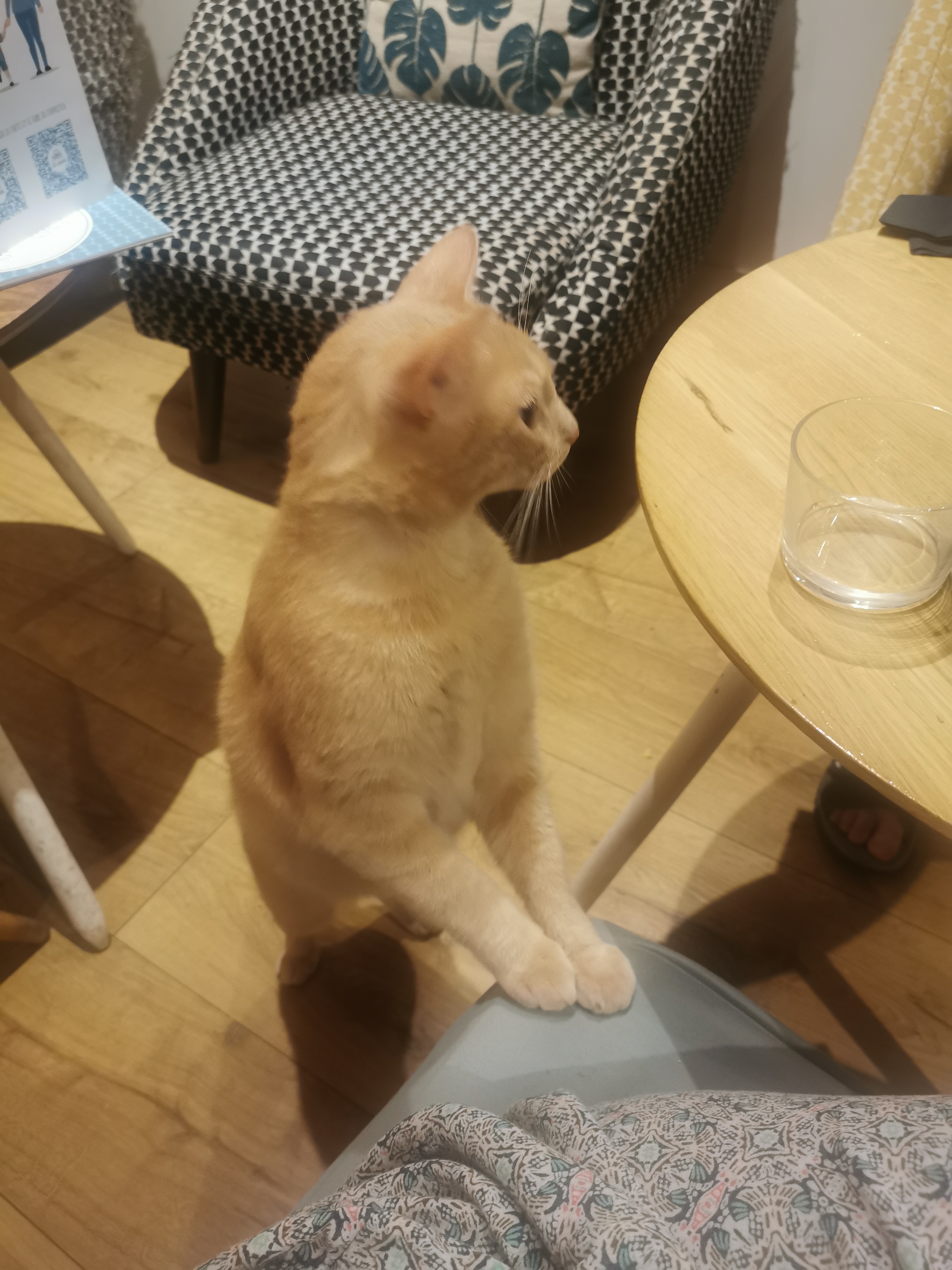 Photo n° 1 de l'avis de Eléonore.r fait le 10/08/2023 à 12:06