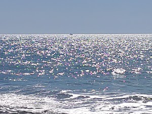 Englewood Beach & Yacht Club - photo 51