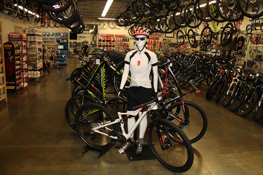 Bicycle Store «Canyon Bicycles - Draper», reviews and photos, 762 E 12300 S, Draper, UT 84020, USA