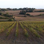 Photo n°3 de l'avis de Piero.u fait le 25/09/2021 à 18:22 sur le  Borgo Tre Rose - Country Hotel Montepulciano à Montepulciano