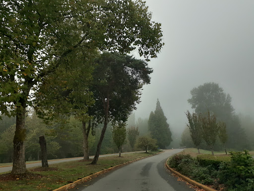 Concert Hall «Marymoor Park Concerts», reviews and photos, 6046 West Lake Sammamish Pkwy NE, Redmond, WA 98052, USA