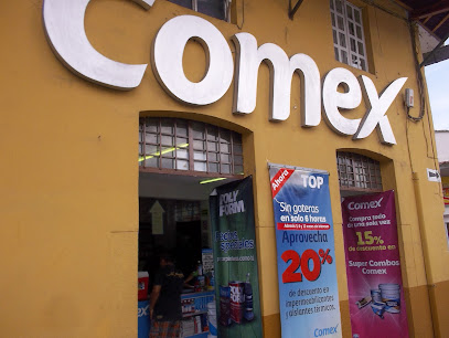 Tienda Comex Coatepec 2