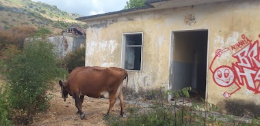 Ish Roja Kufitare