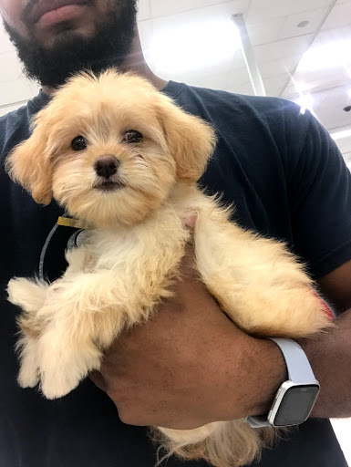 Pet Supply Store «PetSmart», reviews and photos, 4120 E 4th St, Ontario, CA 91764, USA