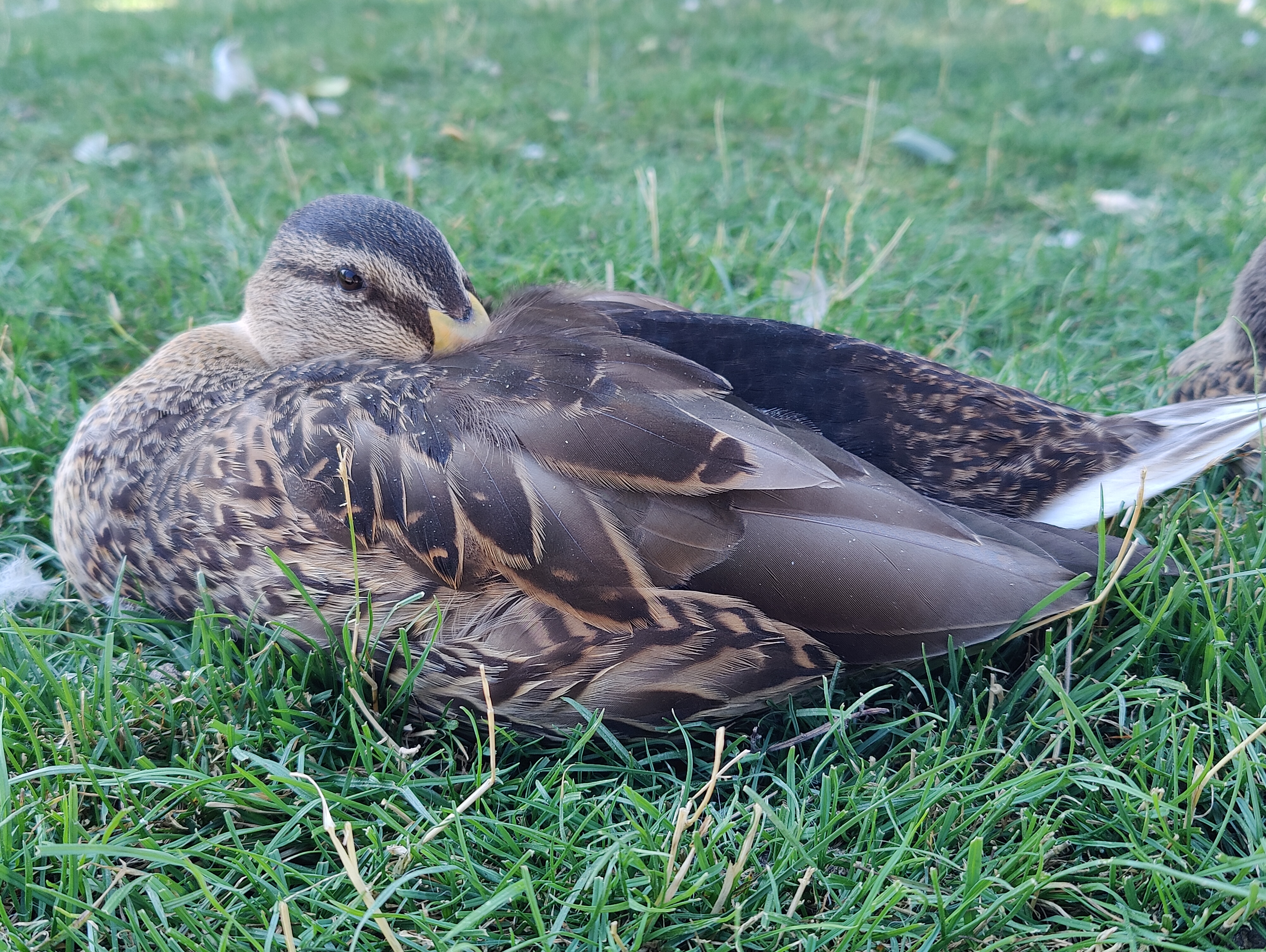 Photo n° 4 de l'avis de Julie.i fait le 15/09/2023 à 11:09