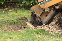 Elk Grove Lawn Service - Photo 4 - Car repair in , Sacramento
