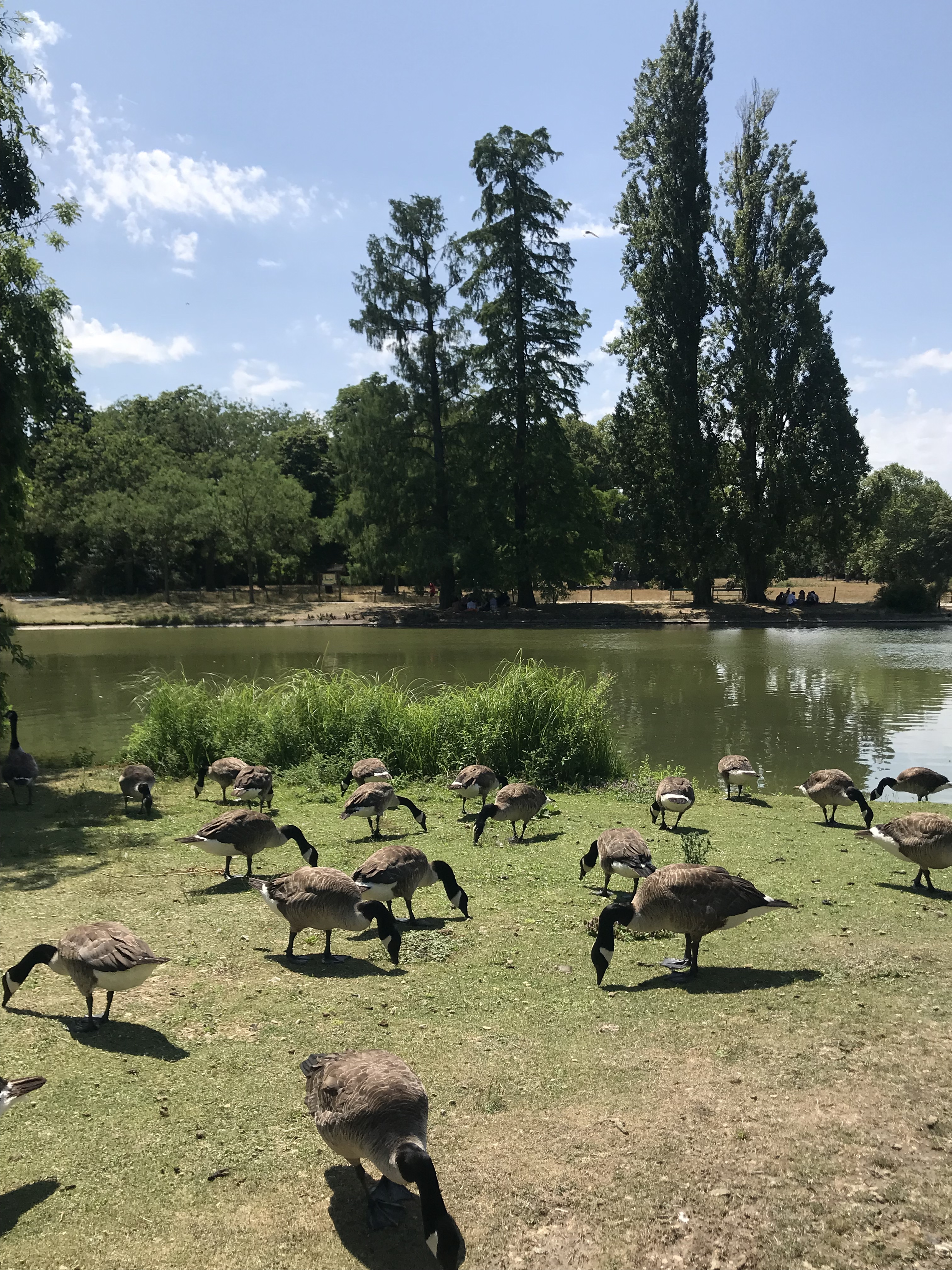 Photo n° 8 de l'avis de Kriss.s fait le 01/08/2023 à 14:58