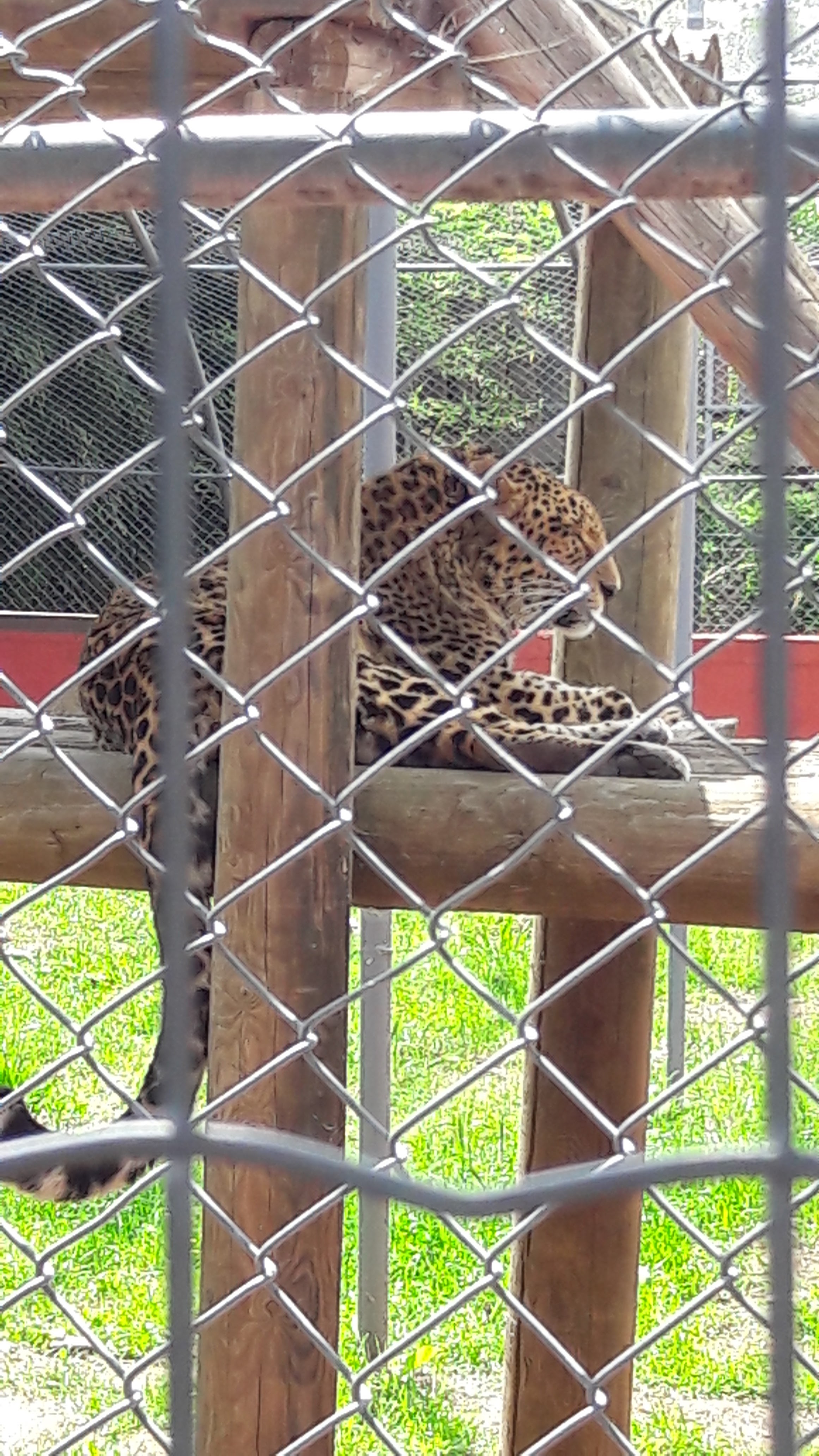 Photo n° 1 de l'avis de Laurence. fait le 09/05/2018 à 15:40