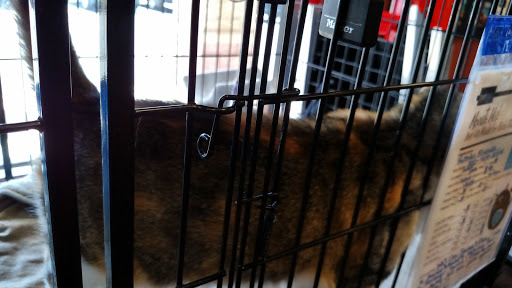 Pet Store «Pet Valu», reviews and photos, 604 Plaza Dr, Newark, DE 19702, USA