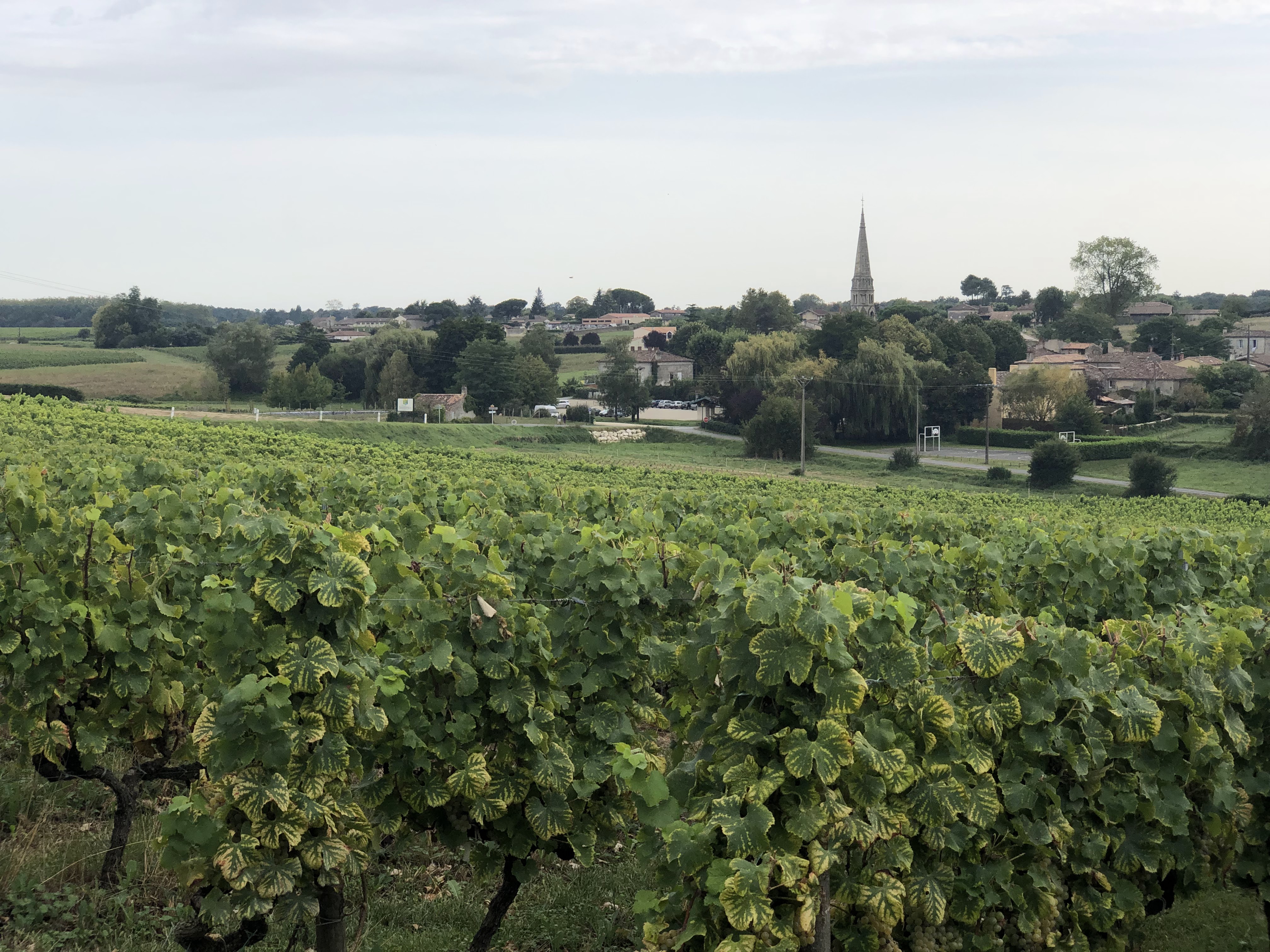 Photo n° 7 de l'avis de SangHwang.e fait le 14/09/2019 à 16:03