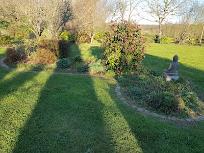 Les jardins d'olivier à Caylus