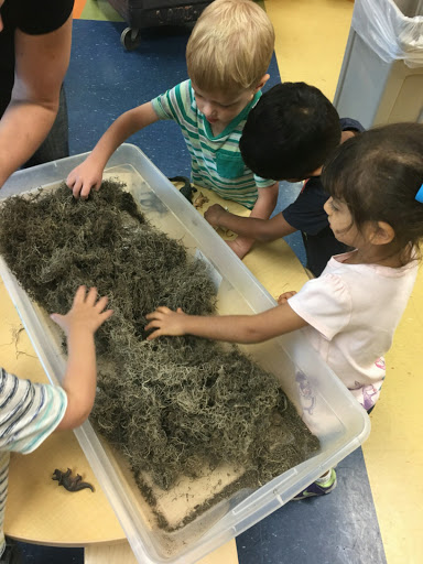 Preschool «Rosen JCC: Jewish Community Center of Southwest Orlando», reviews and photos, 11184 S Apopka Vineland Rd, Orlando, FL 32836, USA