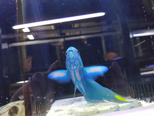 Pet Store «Pet World», reviews and photos, 891 Harriman Pl, San Bernardino, CA 92408, USA