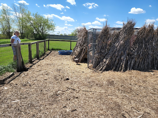 Greenhouse «Stiles Vegetable Farm and Greenhouse», reviews and photos, 11717 Sheridan Rd, Pleasant Prairie, WI 53158, USA
